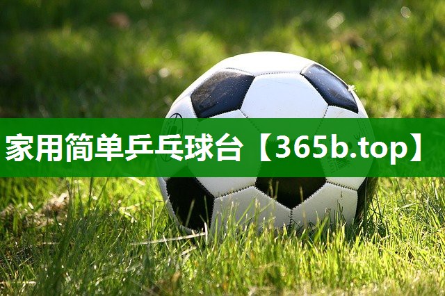 家用简单乒乓球台 家用简单乒乓球台