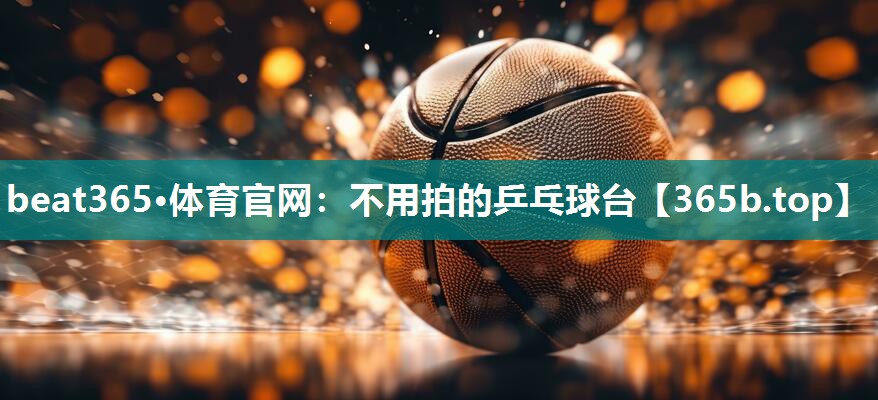 不用拍的乒乓球台 不用拍的乒乓球台
