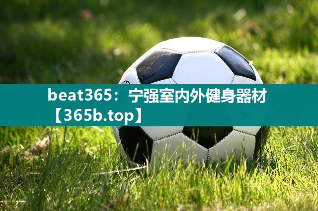 宁强室内外健身器材 宁强室内外健身器材