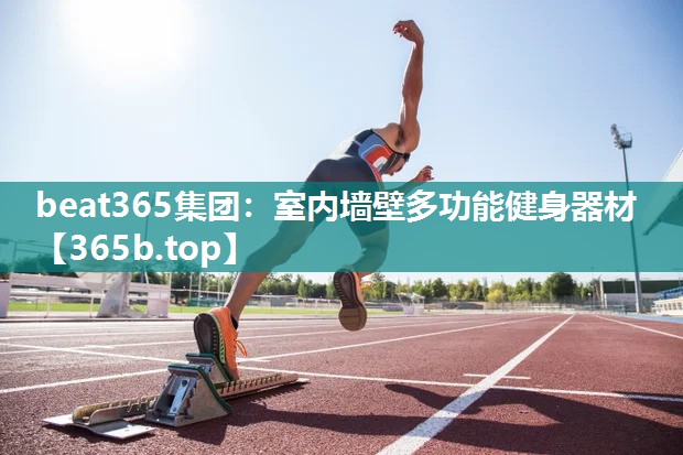 室内墙壁多功能健身器材 室内墙壁多功能健身器材