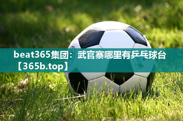武官寨哪里有乒乓球台 武官寨哪里有乒乓球台