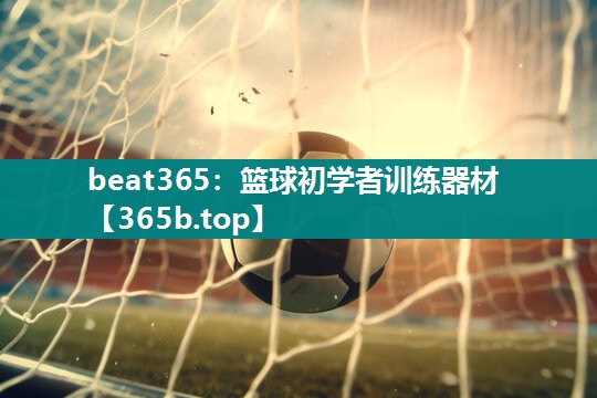 篮球初学者训练器材 篮球初学者训练器材