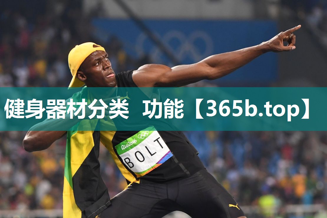 健身器材分类 功能 健身器材分类 功能