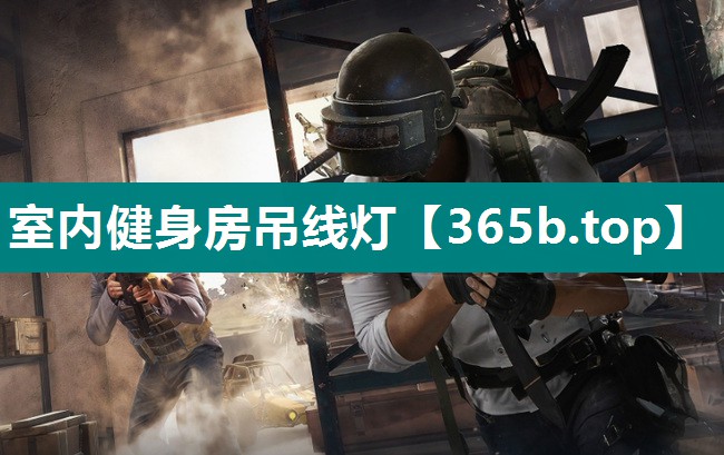室内健身房吊线灯 室内健身房吊线灯